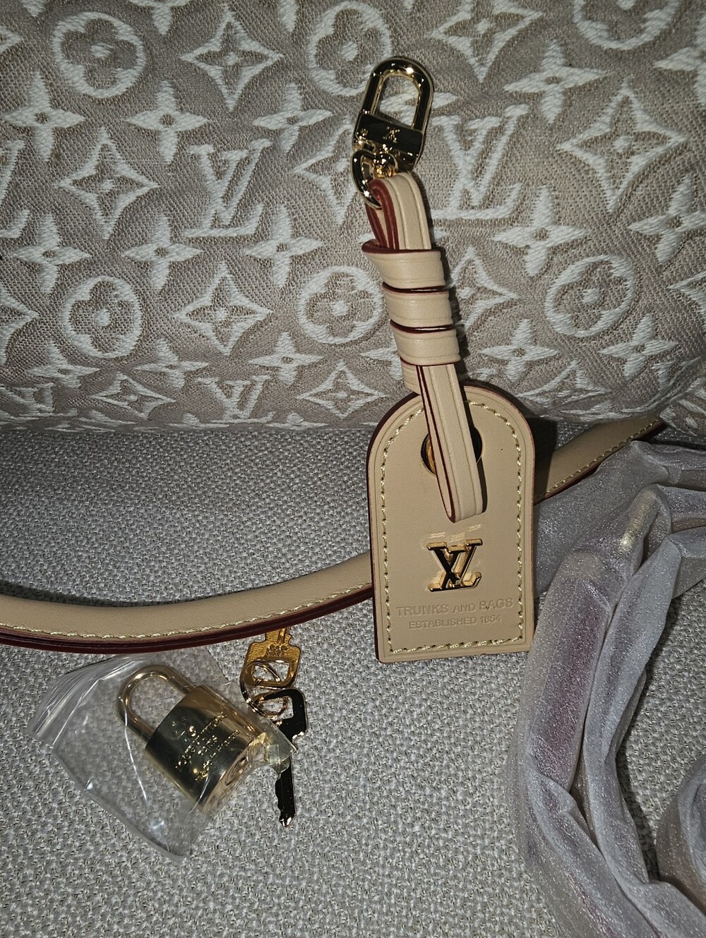 BEAUTIFUL JACQUARD MONOGRAM SOFT SPEEDY 30 PEUPLIER - Picture 5 of 12